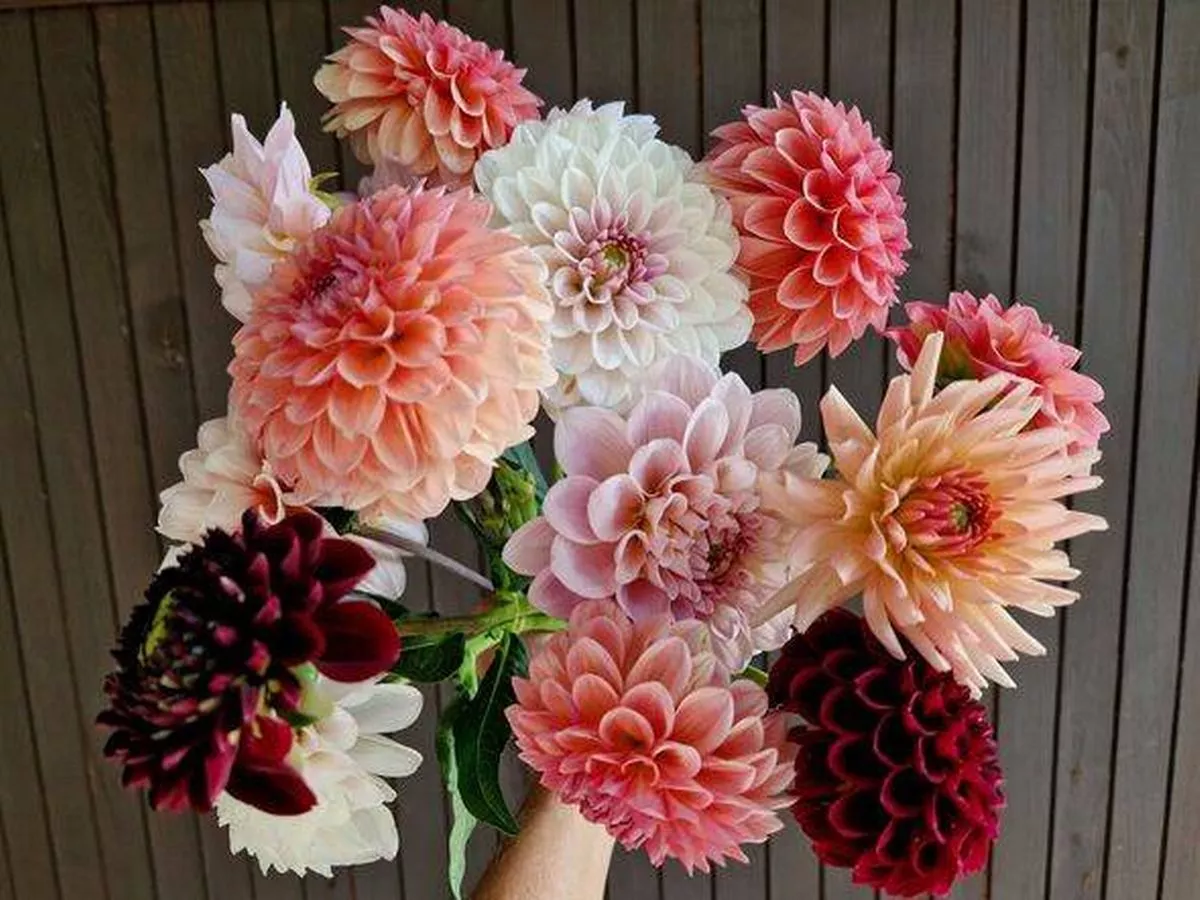 I had a job many would dream of - but it was a lot more painful than it looks