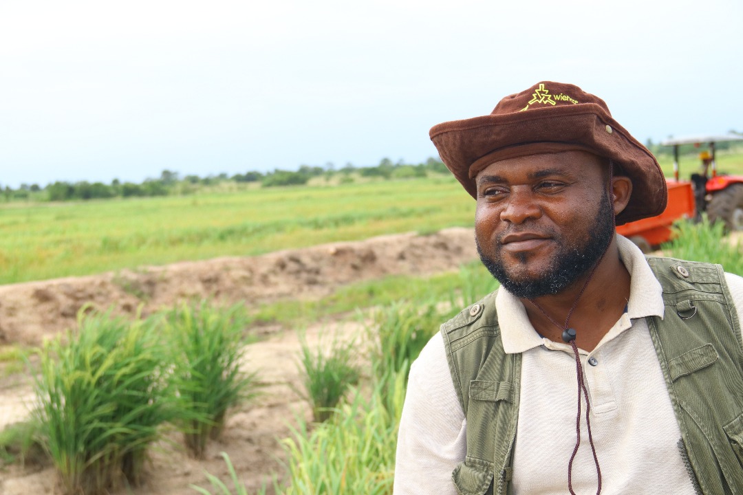 Commercial rice growers rally nation to prioritise local rice consumption