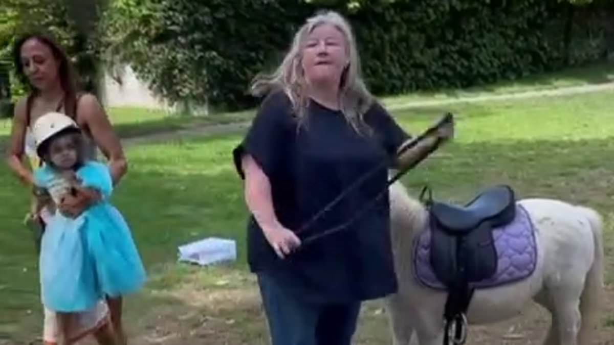 Shock legal twist after the Vaucluse 'pony party from hell' as eastern suburbs mums take on ride operator filmed yelling at chaotic third birthday