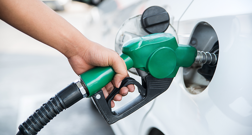 Understanding Fuel Card Management Services for Businesses