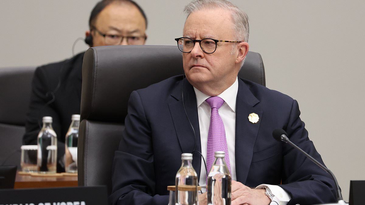 How Albo secretly asked a famously acid-tongued Australian for help with comebacks to Trump - if meeting with US President got nasty