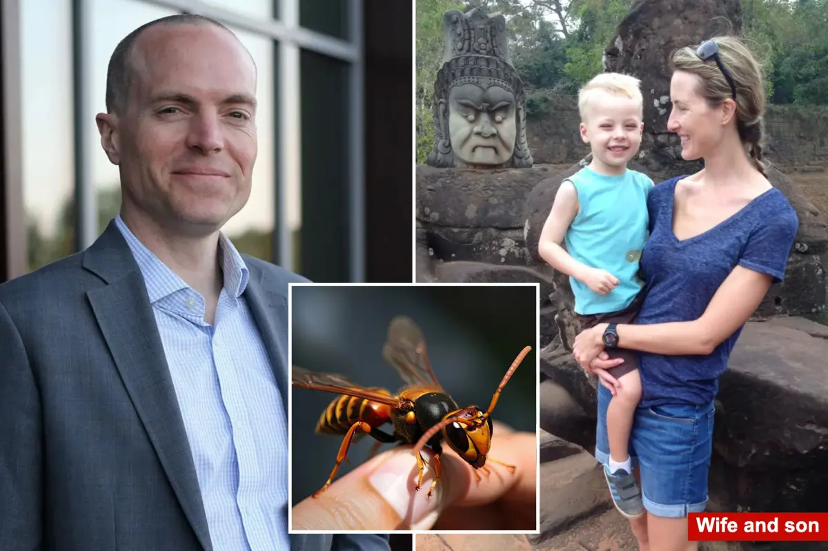 Private school director, son stung to death by swarm of Asian giant hornets on zip-line vacation
