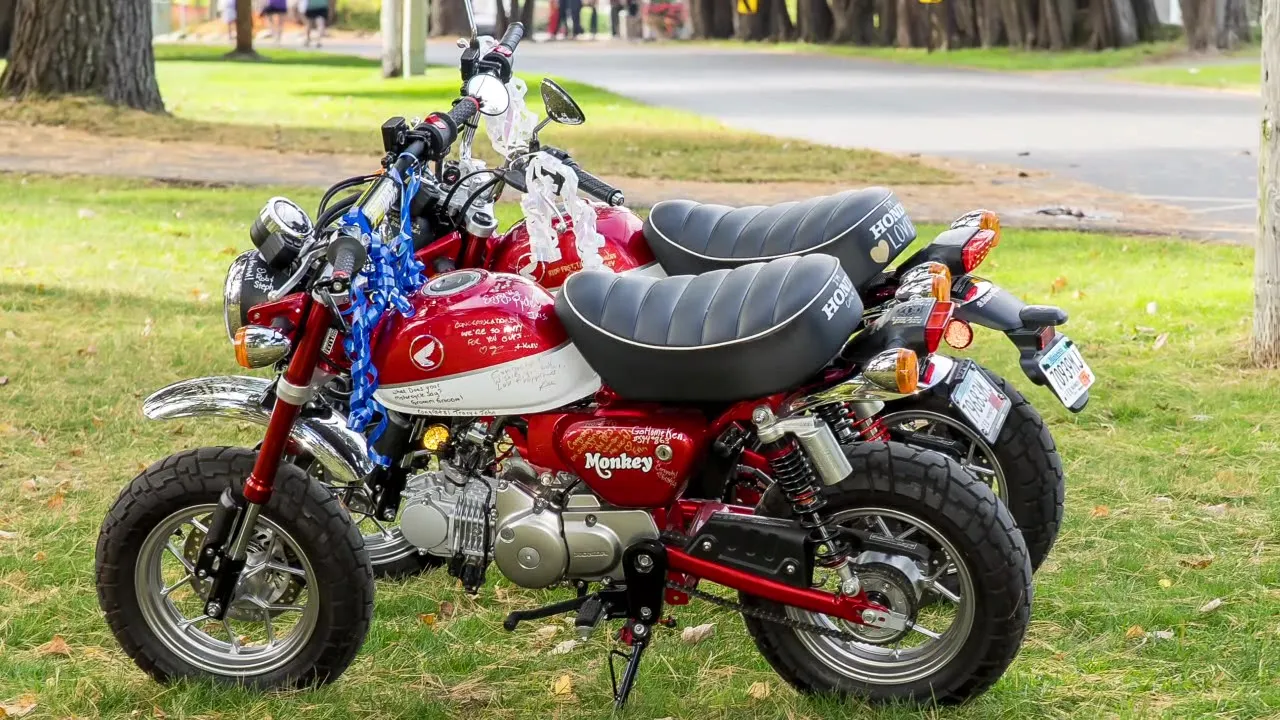 Minnesota couple's wedding guestbook bikes stolen from driveway