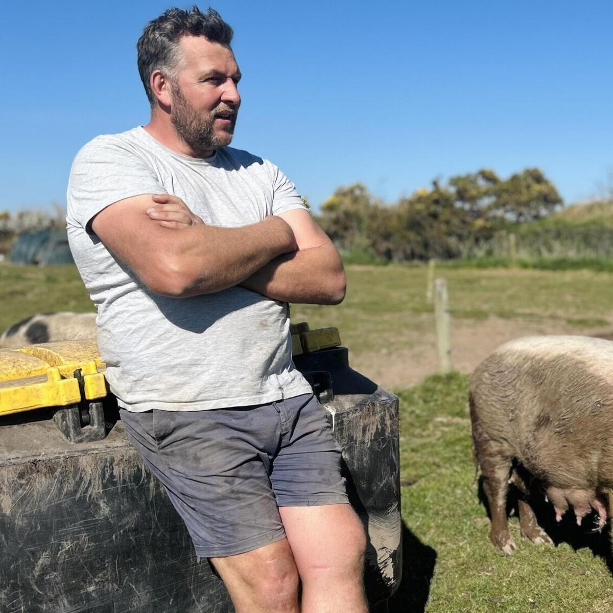 Joe McNamee: The State must atone for 1980s regulations and save small farms