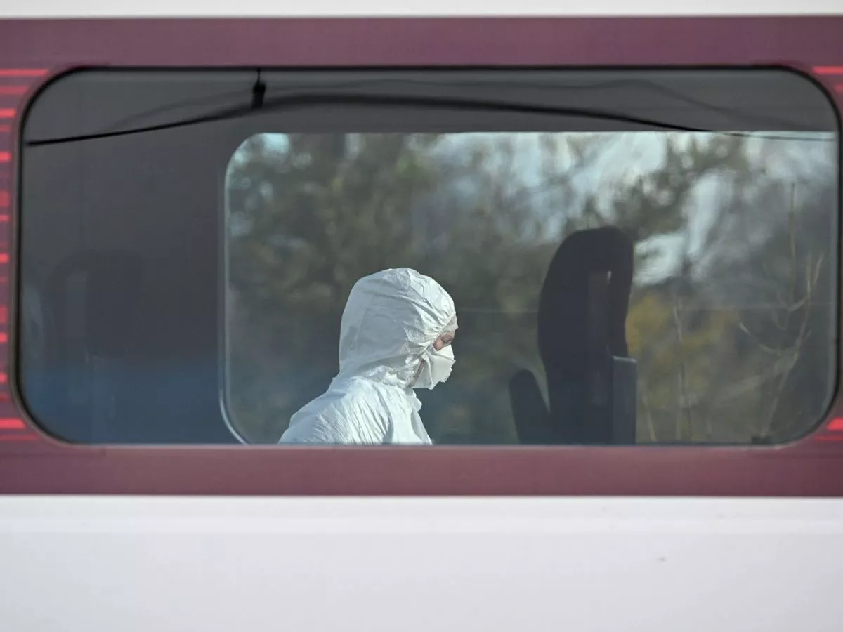 Government minister releases new details about Huntingdon train stabbing suspect