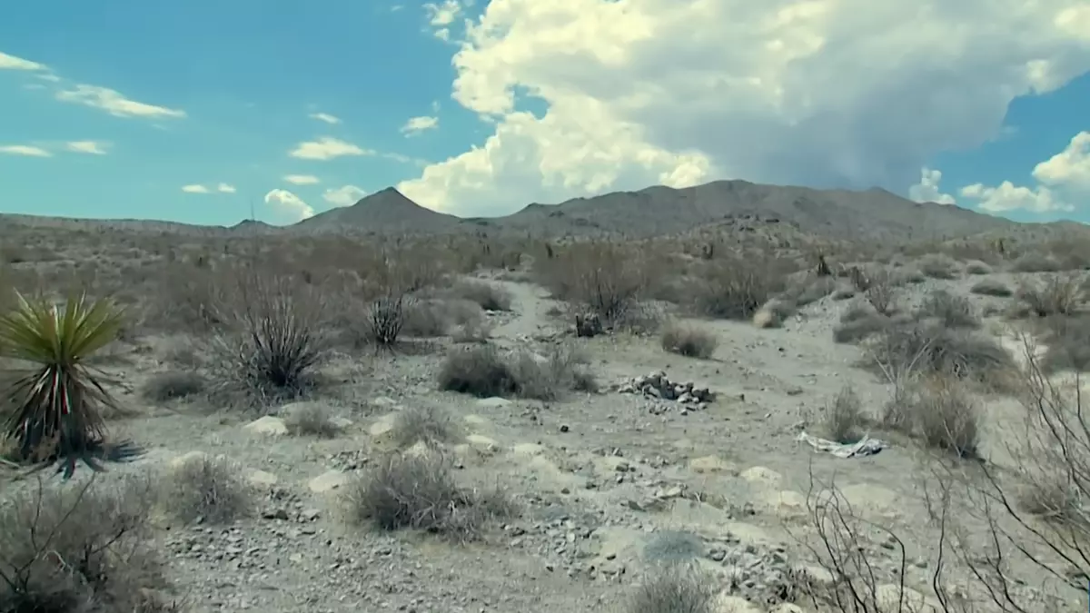 More than 300 piles of human remains recovered from desert as mystery sparks questions