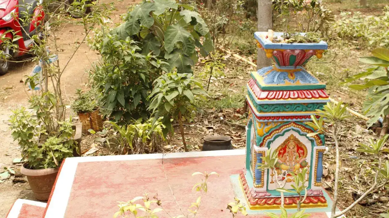 Tulsi Vivah 2025: Is It on 2 or 3 November? Find Out the Date, Auspicious Timing and Religious Significance