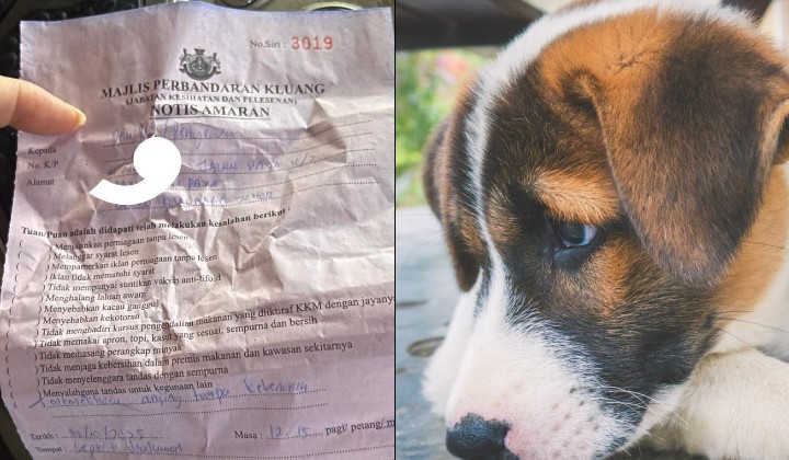 Johor Dog Owner Faces Council Warning After Five Years Without Neighbour Consent