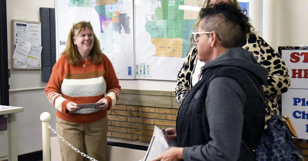 Five Questions With ... Auditor Michelle Skaff about elections