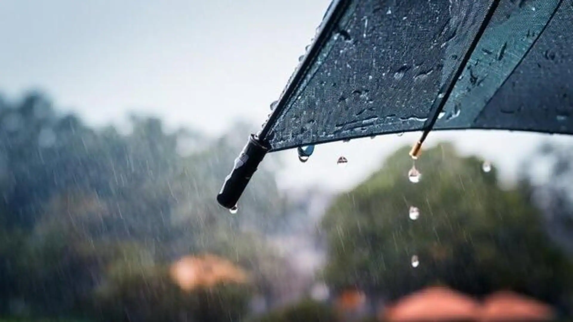 Brighten your monsoon look with Ankara print umbrellas