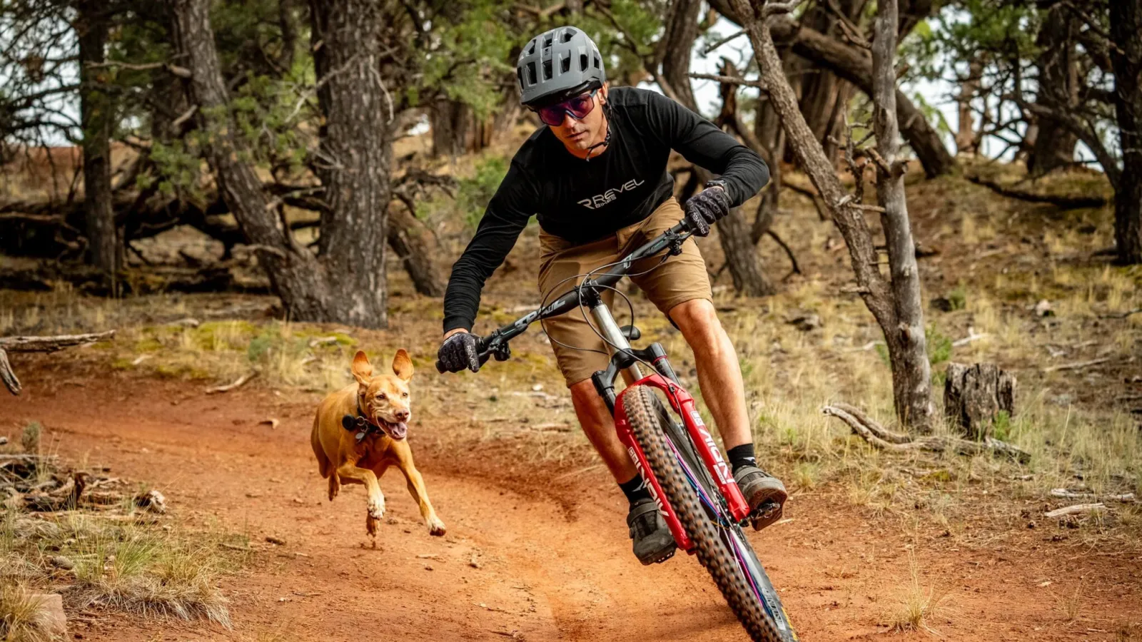 Founder of Colorado mountain bike maker Revel Bikes says company is profitable again
