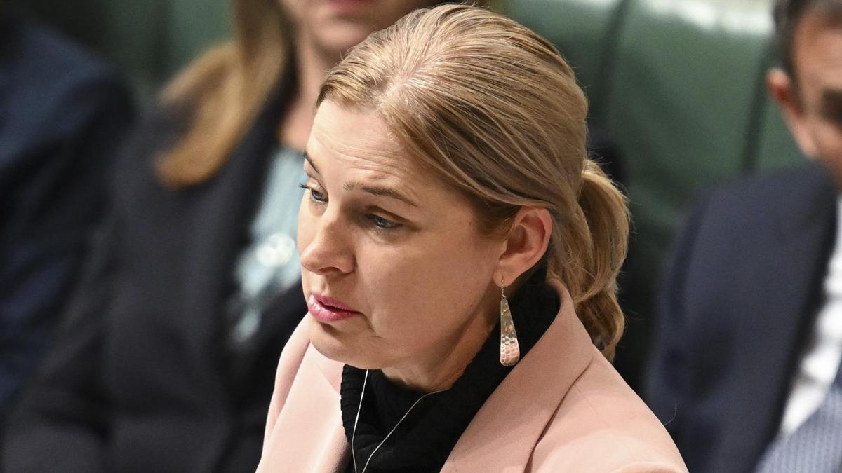 Warning for mainland Australia after suspected bird flu case on sub-Antarctic island