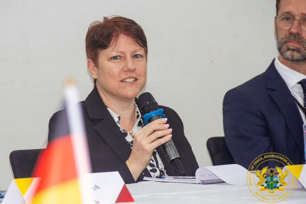 Ghana, Germany Strengthen Economic Partnership to Drive Industrial Growth and Investment