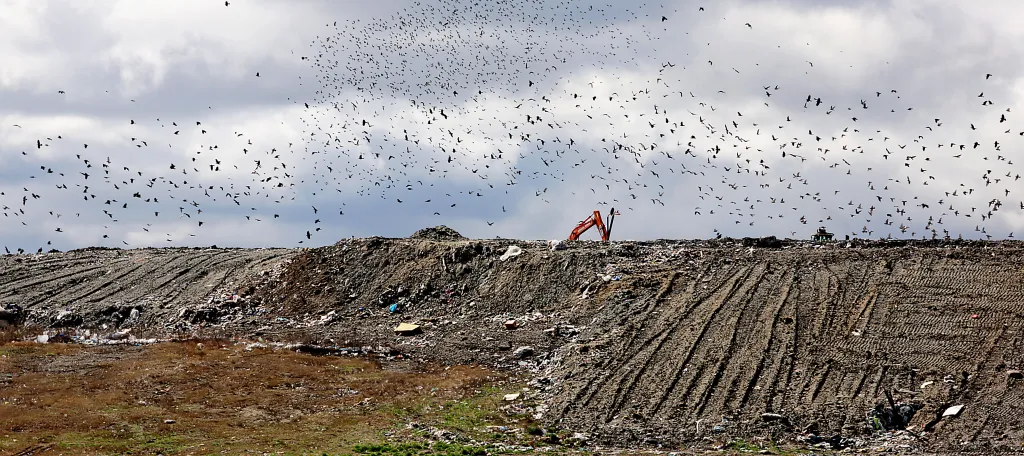 Regional trash authority approves recycling provider contract