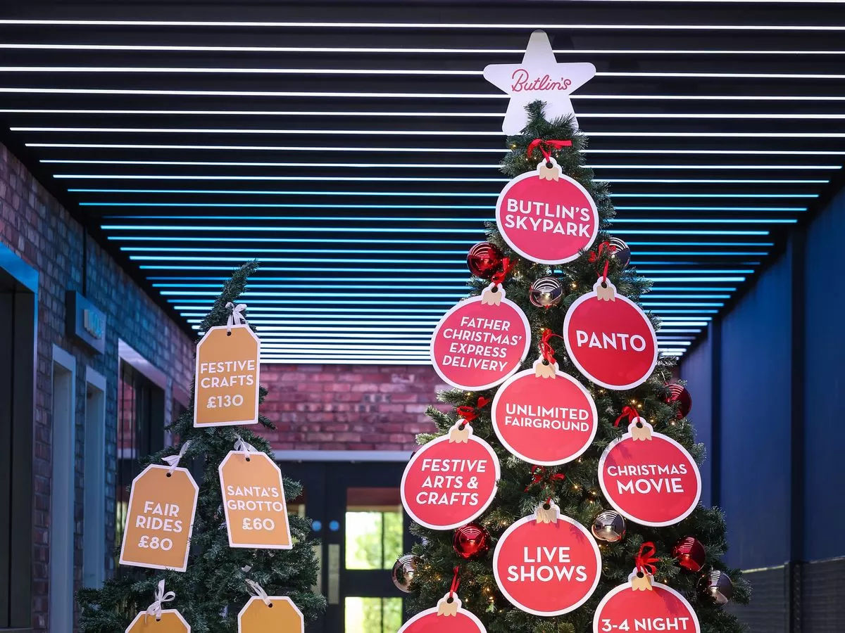 Sad-looking Christmas Tree erected in seaside town with depressing message