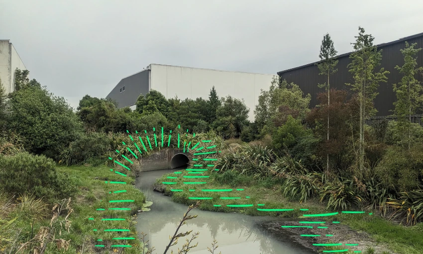 The tricky trade-offs in making room for rivers in the city