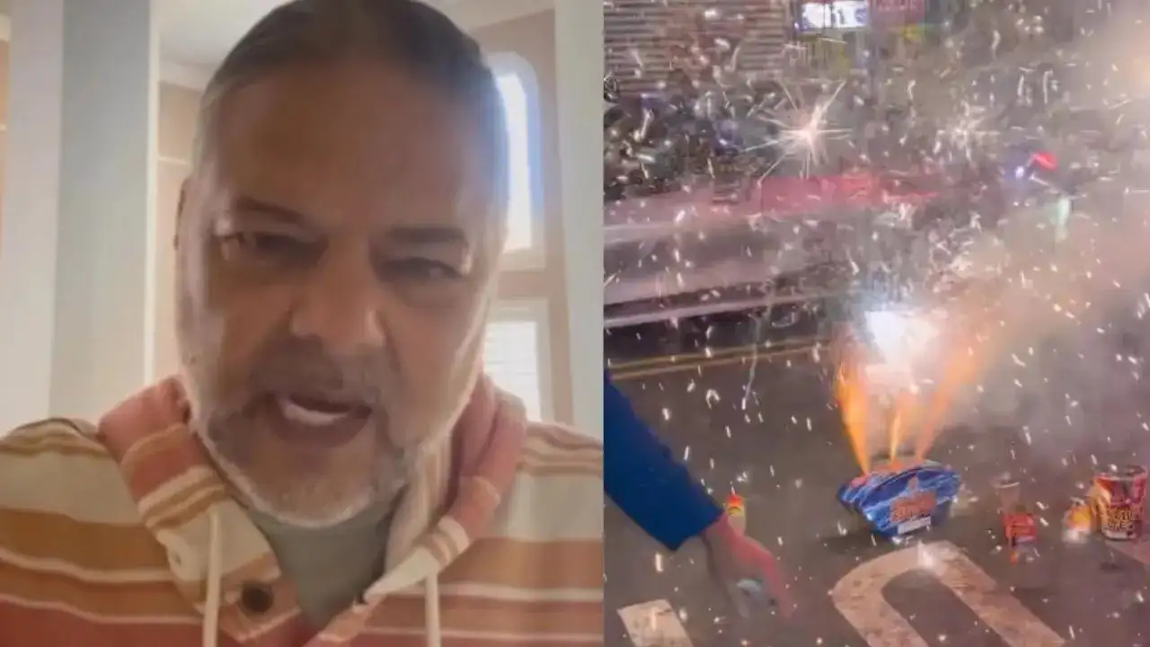 'Gadhon, India Ka Naam Kharab Ho Raha Hai': Man's 'Angry Rant' Goes Viral After Diwali Chaos In US | VIDEO
