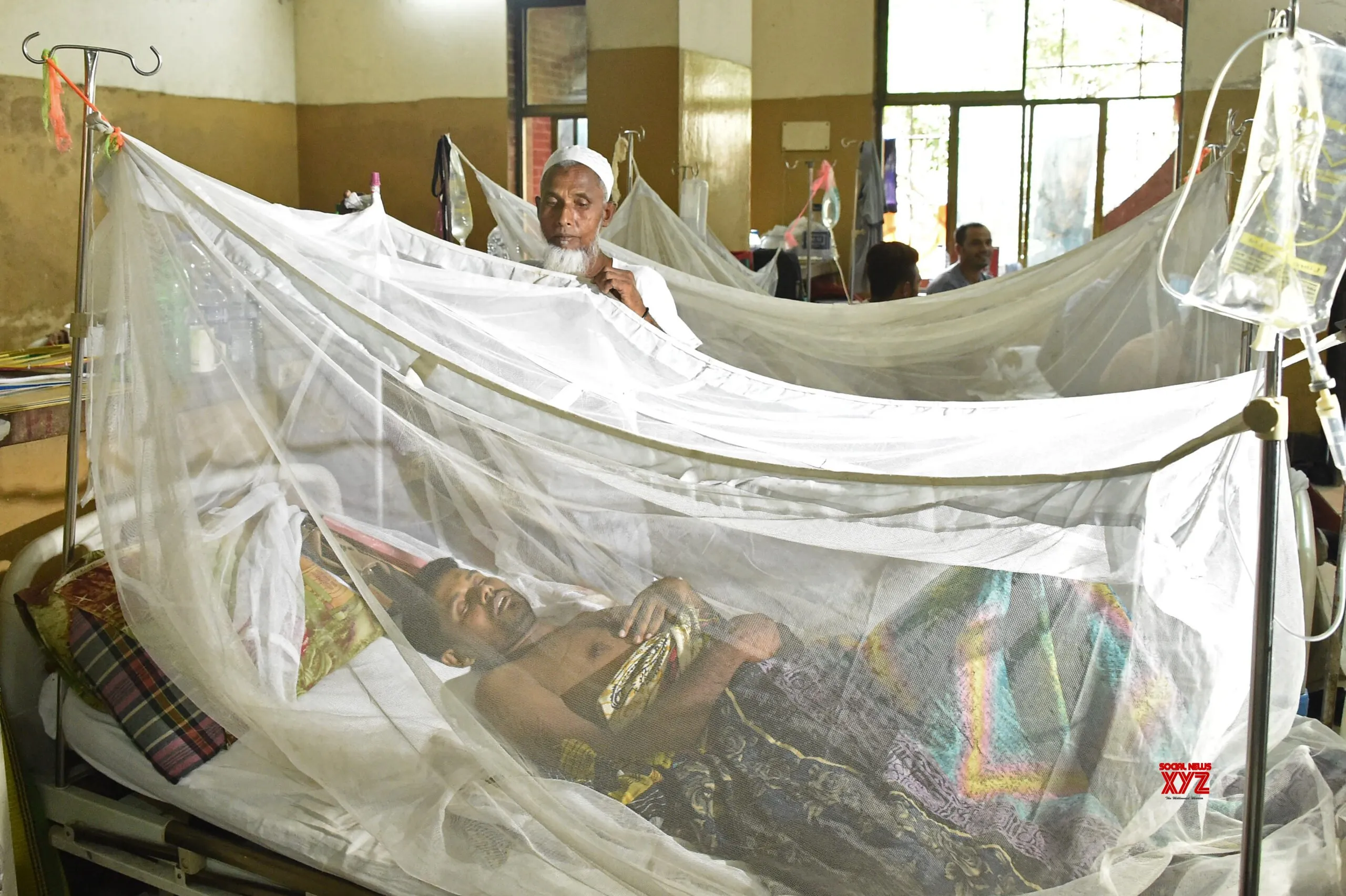Bangladesh: Five more people die of dengue, 2025 death toll crosses 280