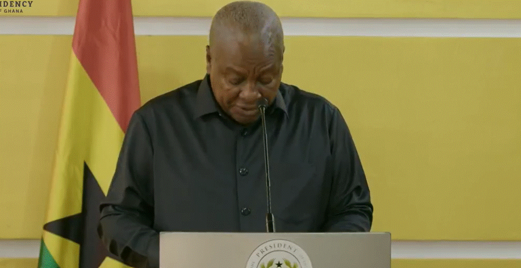 Mahama reaffirms dedication to creating enabling environment to attract more German investments
