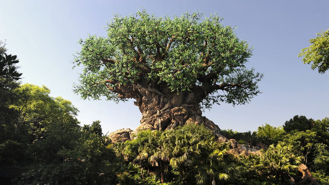 Disney's Animal Kingdom Has Added A Worthy Tribute To A Disney Legend, But I Have One Issue With The Placement