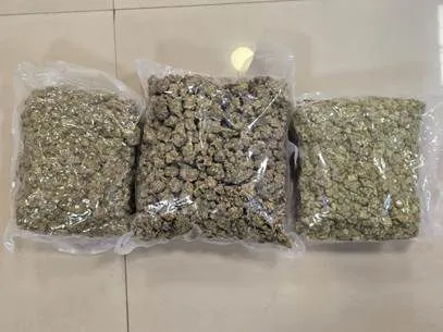 Mumbai: DRI seizes drugs valued at Rs 42 crore, 2 arrested