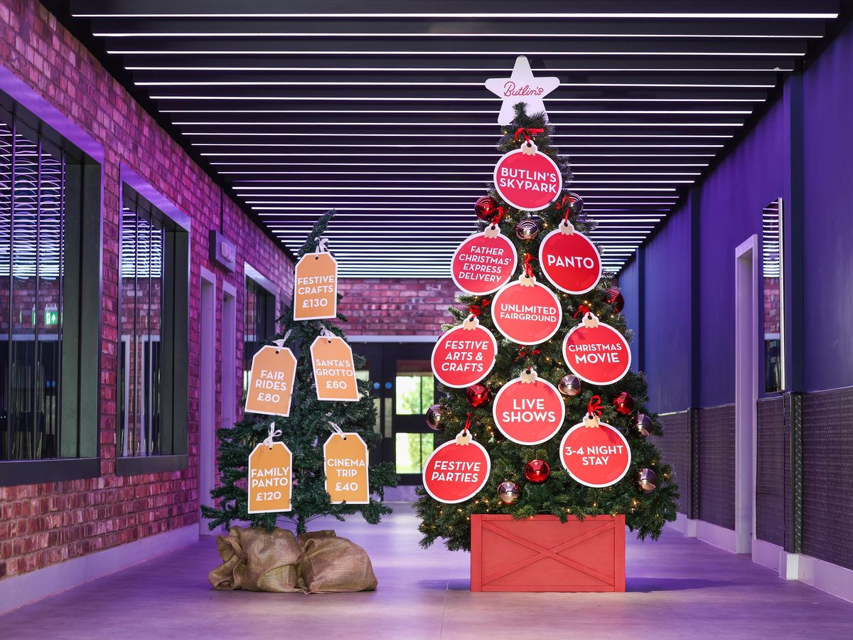 Sad-looking Christmas tree erected in Seaside town - but for important reason