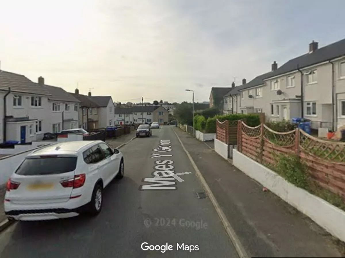 Machete wielding man left partner fearing her 'life was going to end'