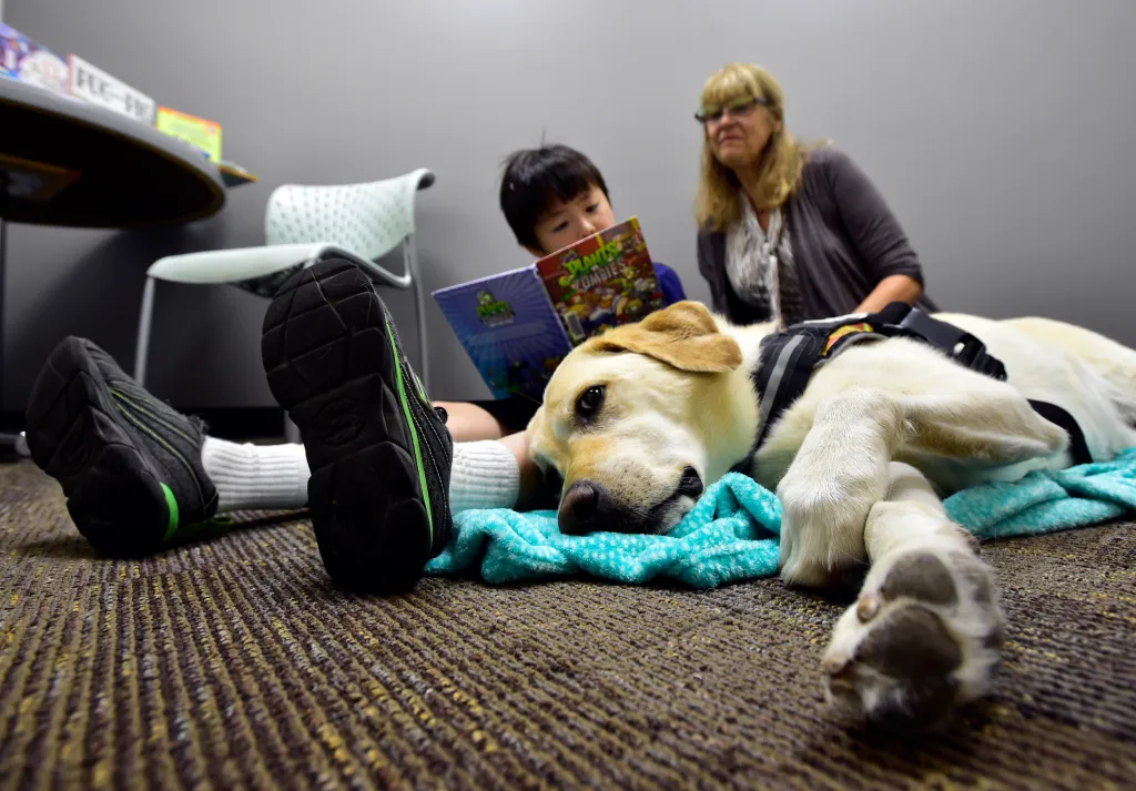 Things to do in Boulder on Monday, Nov. 3: Pages and Paws at NoBo Corner Library