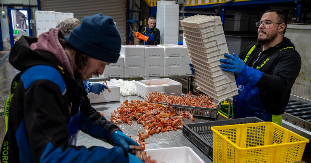 As UK Tries to Curb Immigration, Rural Scotland Looks to Attract Foreign Workers