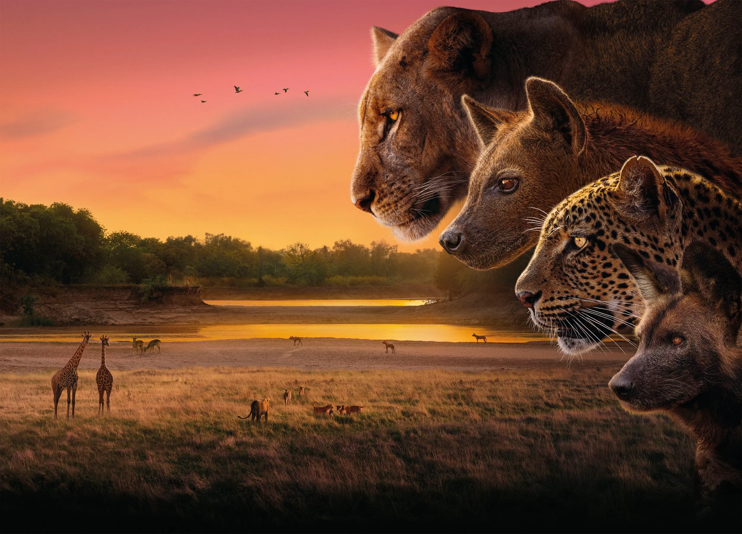 David Attenborough groundbreaking TV series ‘compared to Game of Thrones and Succession’