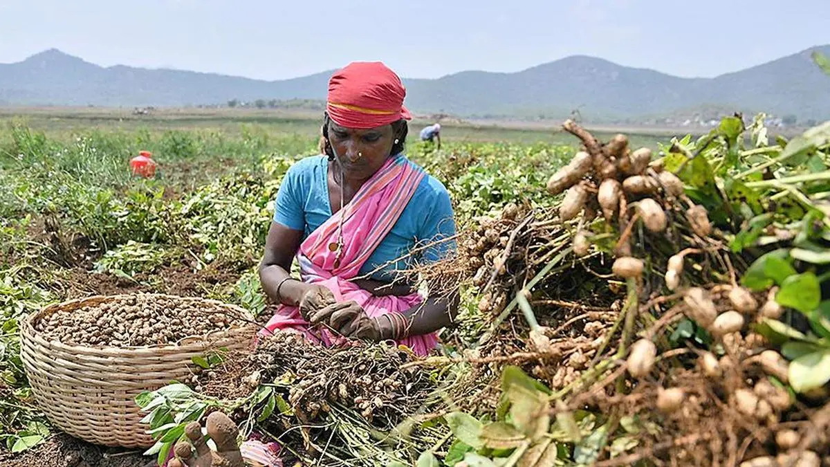 Plug the gaps in agriculture sector