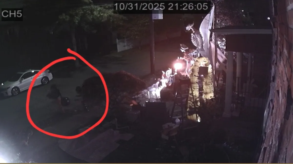 Halloween night theft at Bad Bunny display in Watertown, MA?