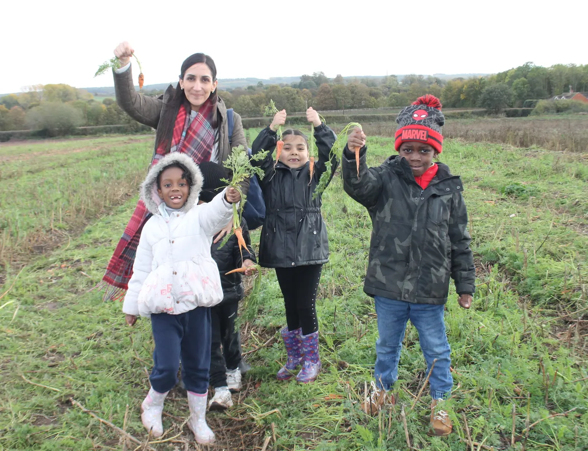 'They had a real hands-on learning experience': Wolverhampton school pupils swap classroom for fields and muck in