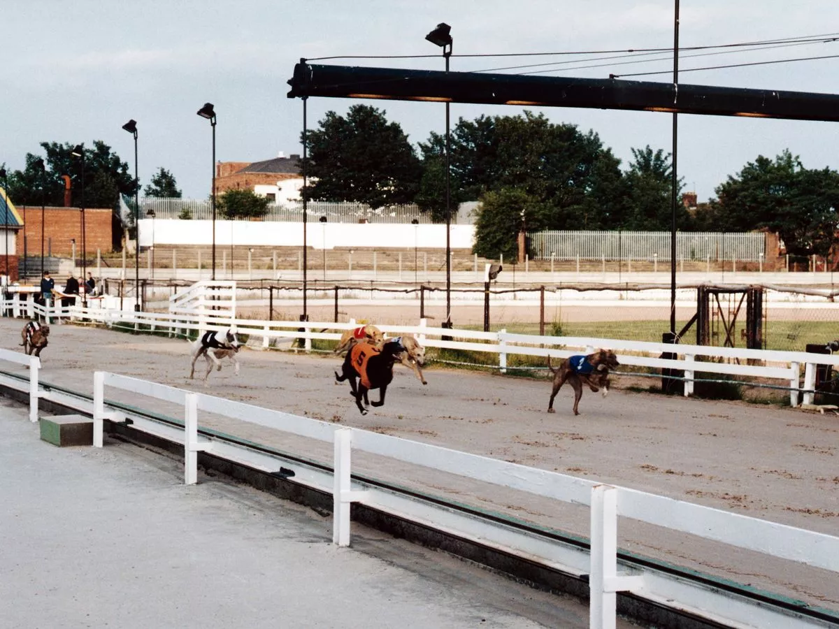 Government issues statement after thousands call for UK ban on 'cruel sport'