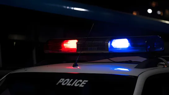 Blinkit delivery agent arrested for harassing Brazilian model in Bengaluru