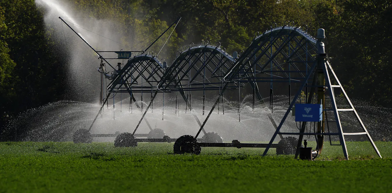 2 ways you can conserve the water used to make your food