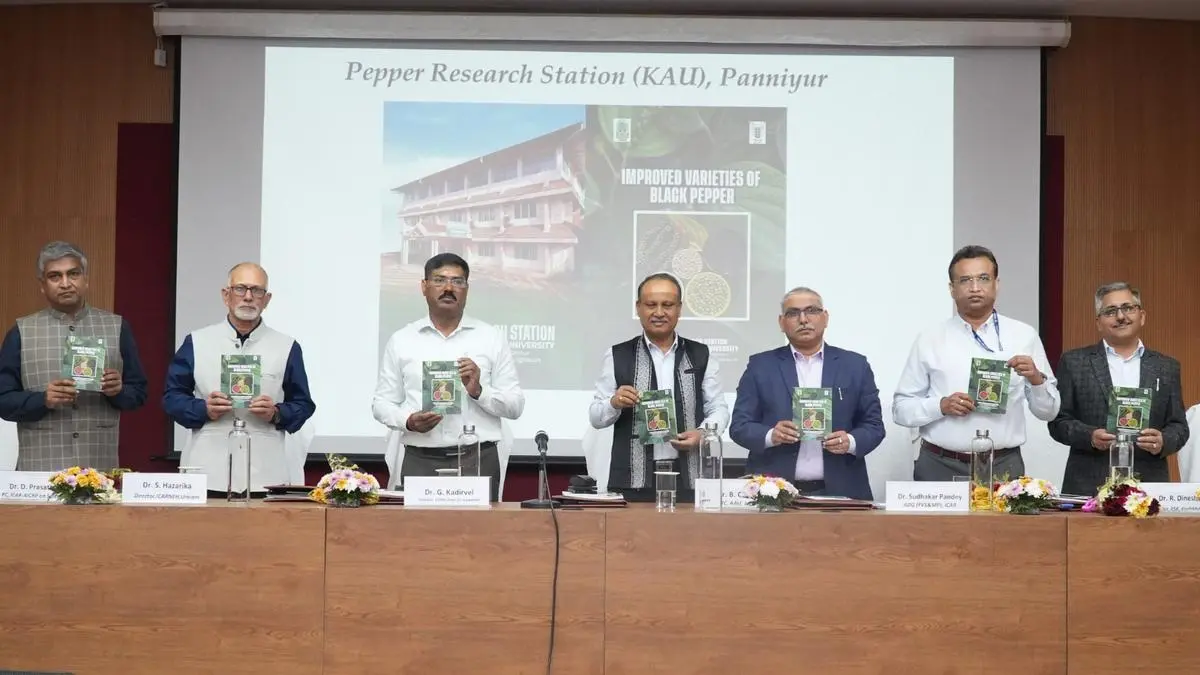 AICRPS identify six high yielding spice varieties