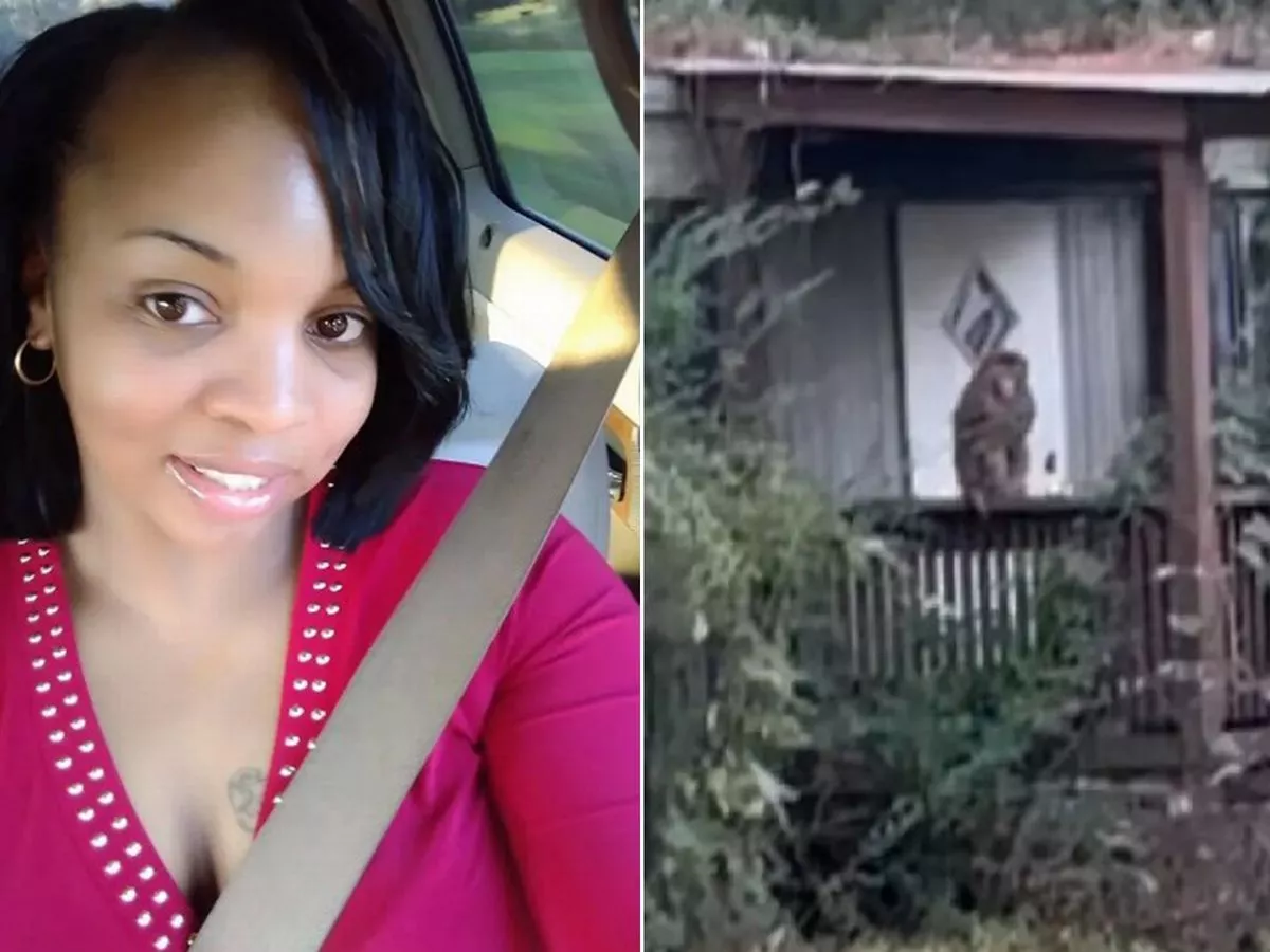 Mum blows away escaped monkey after truck crash unleashes troop of terror