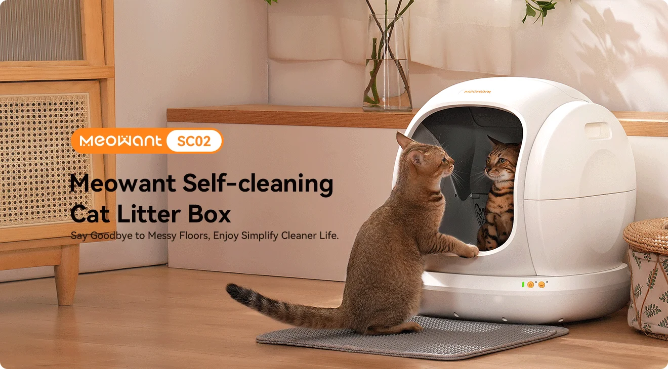 Quiet and Efficient: The Perfect Litter Solution