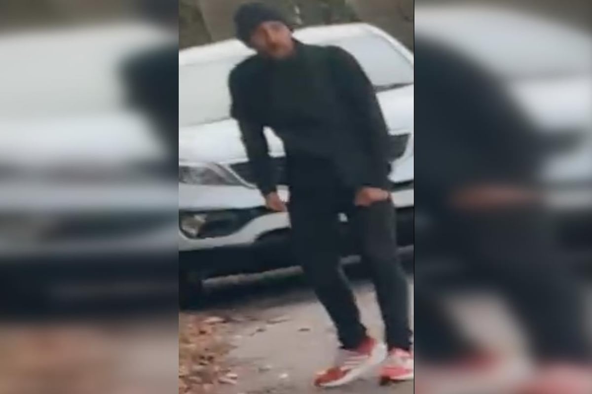 Help wanted to identify man after car damaged on Glenn Bridge, Scarborough