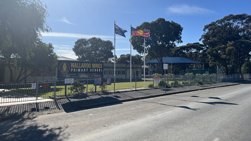 Principal of regional SA primary school stood down pending investigation