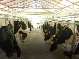 Laos, China strengthen border trade, investment cooperation - The Star | Malaysia