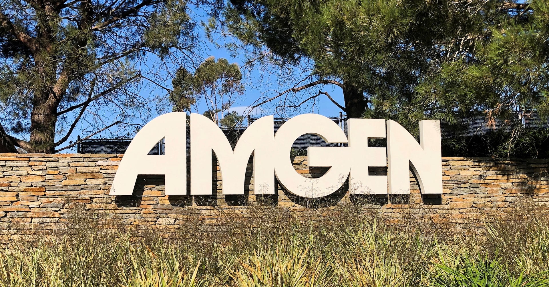 Amgen profit beats estimates, weight-loss data due by year-end