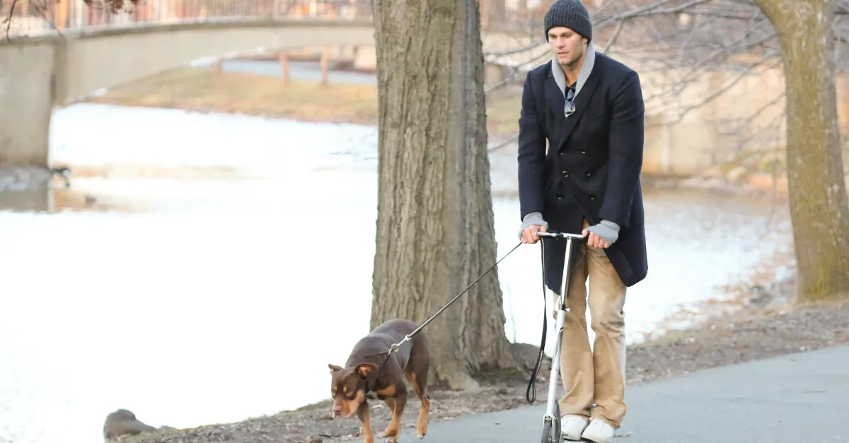 Tom Brady got his cloned dog from people trying to bring back the wooly mammoth