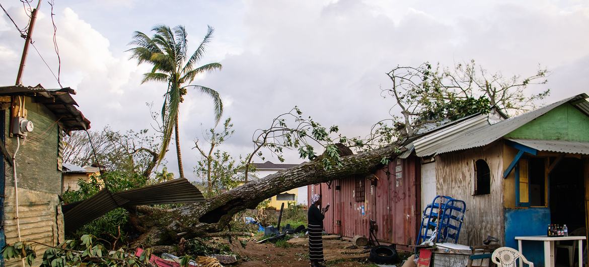 Half of Jamaica’s population reeling from Hurricane Melissa