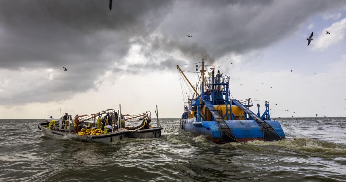 New showdown over Louisiana's controversial pogy boats brews