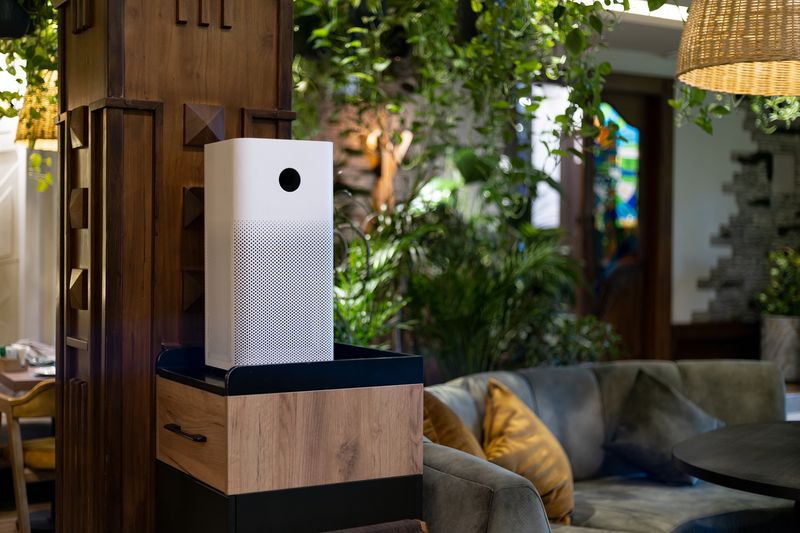 Wedding season in Delhi: Before ‘I do’, couples say yes to air purifiers