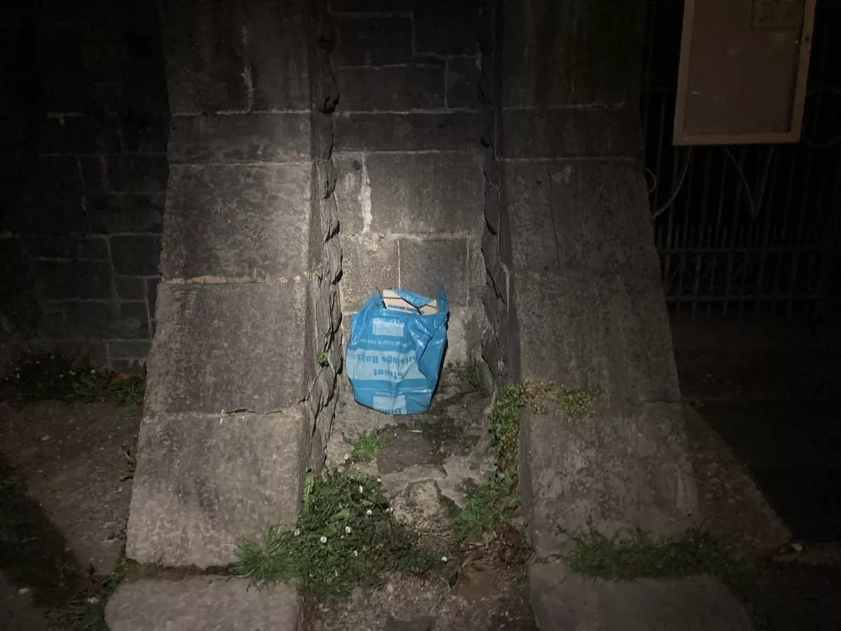 Bag full of dead kittens found near Gwynedd church