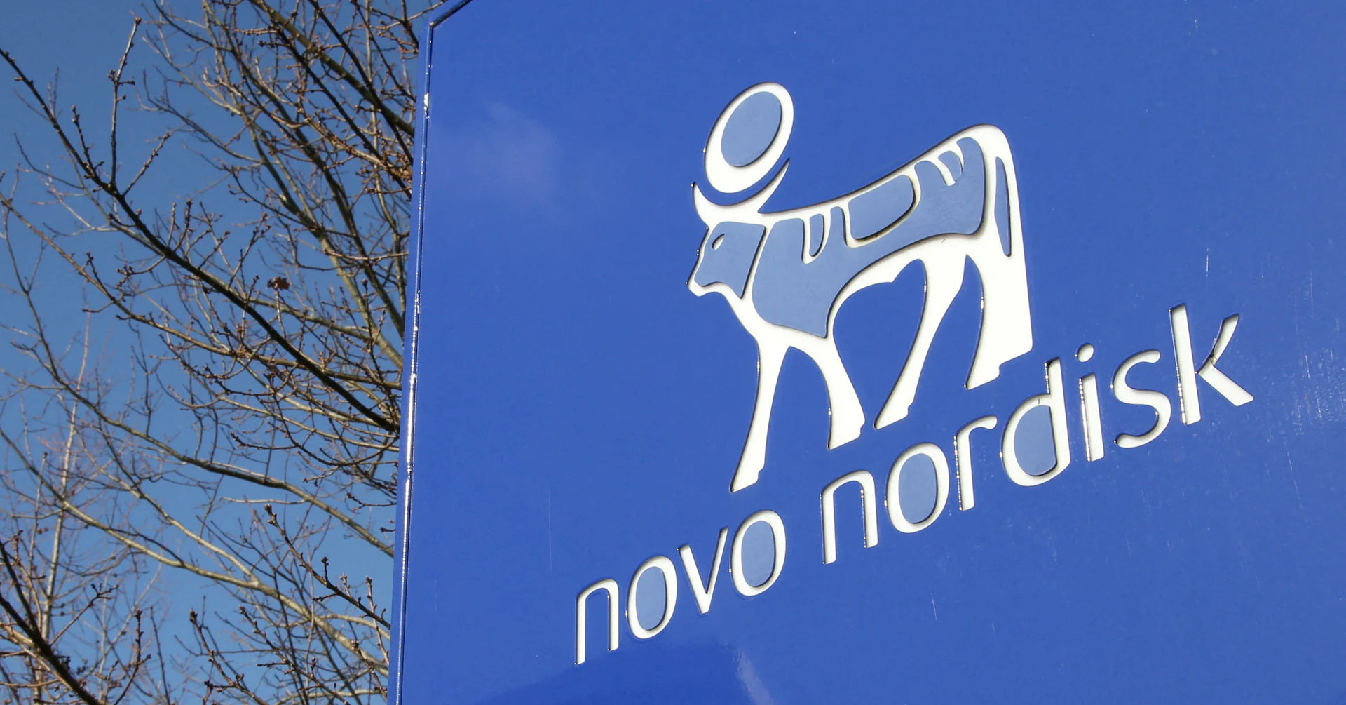 Novo Nordisk's obesity pill shows cardiovascular benefits, comparable efficacy to injection