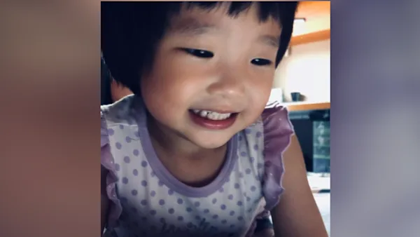 Megan Khung fatal abuse case: MSF to set up social services coordination centre, strengthen oversight